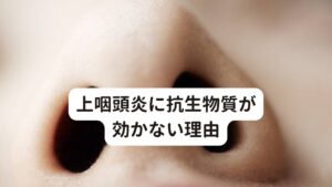 上咽頭炎に抗生物質が効かない理由上咽頭炎の初期症状(急性症状)の多くは鼻の奥の痛みなどの炎症反応が主になります。この場合の多くはウイルスや細菌などの「起炎菌(きえんきん)」と呼ばれる、炎症反応を起こすウイルスや菌が中心となって悪さを起こし、とくに上咽頭と呼ばれる鼻の奥の部分に感染し増殖します。

この場合は急性期であり炎症を強く起こしているため薬や抗生物質が効く場合があります。

しかし、薬や抗生物質での死滅が上手くいかないと時間の経過とともに原因である起炎菌の炎症反応にも変化が起こります。
この変化が症状にも変化が起こすと考えられています。


死滅せずに残った起炎菌のウイルスや細菌は経過とともに組織を破壊するような初期の炎症を起こさなくなります。
その後、感染した組織に適応しながら居続ける状態へと変化します。
この状態になると薬や抗生物質を飲んでも死滅できないウイルスや細菌へと変化していると考えられます。

多くの方が「薬や抗生物質を飲んでも治らない」と訴える背景にはこのような状態の変化があります。※1