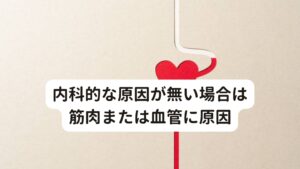 内科的な原因が無い場合は筋肉または血管に原因寝起きに足のしびれが起こる原因には「神経に不調がある場合」と「血管(または血流)に不調がある場合」の二つが考えられます。
足のしびれは主に腰や臀部から伸びる神経や血管が関係しており、就寝中の寝ている姿勢によってはこれらの部位に圧迫が起きている可能性があります。


もともと腰や臀部の筋肉が柔らかければ圧迫を受けても神経や血管の流れを阻害することはありません。
しかし筋肉の緊張が強かったりコリがある場合は圧迫によって神経や血管への阻害となって働きを低下させてしまいます。

足のしびれにはこういった腰や臀部から足に向かって伸びる神経や血管が関係しています。※1