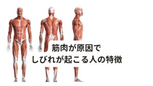 筋肉が原因でしびれが起こる人の特徴神経が原因で寝起きに足がしびれが起こりやすい人の特徴を解説します。

[神経が原因の人の特徴]
・特定の動きや動作でしびれが強くなる
・ときどき鋭い痛みが起こる
・力が入りにくい
・しびれが強くて立てない
・皮膚表面がピリピリする