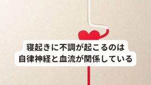 寝起きに不調が起こるのは自律神経と血流が関係している寝起きに頭痛や気持ち悪さが起こる原因には自律神経の乱れと脳の血行不良が関係しています。

自律神経は全身の血流を調整していますが、疲労やストレスなどに影響をうけやすい反応をもっています。
そのため生活の中で日常的に疲労やストレスを受けていると自律神経が乱れてしまい血流の調整に不具合が生じやすくなります。

この血流調整の不具合に影響を受けいやすいのが脳の血流になります。
寝起きの頭痛や気持ち悪さが起こる原因にはこういった自律神経と脳の血流が深く関わっています。※1