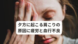 夕方に起こる肩こりの原因に疲労と血行不良夕方に起こる肩こりの原因には筋疲労と血行不良があります。

筋疲労はその名の通り「筋肉が疲労している状態」を指します。
朝の起床とともに人間は活動を始めますが、活動量に応じた筋疲労が徐々に身体に蓄積されています。


日中はまだ筋疲労が身体に少なく蓄積されているため肩こりは感じにくい状態です。
しかし、夕方や夜になると蓄積疲労が多く溜まってしまうため肩こり症状が出やすいと考えられます。

血行不良は血流の停滞や不足が起こっている状態です。
先ほどの筋疲労と同様に血流を調節している自律神経が疲労を起こすと血行不良が起こります。

首や肩への血流が停滞や不足を起こすと筋肉や関節の動きが悪くなり肩こり症状が起こりやすいとされています。
自律神経の疲労も日中より夕方や夜に起こりやすい傾向にあります。