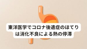 東洋医学でコロナ後遺症のほてりは消化不良による熱の停滞東洋医学ではコロナ後遺症によるほてり症状は「消化不良による熱の停滞」と考えます。

人間は運動、食事、思考などあらゆる作業によって熱を生み出す能力をもっています。
東洋医学ではこれを「気のエネルギー」として考え、生み出された熱を滞りなく全身を巡らせることで健康を維持しています。

しかし、コロナ後遺症にかかるとこの熱を全身に巡らせることができずに停滞してしまいます。
とくに消化不良によって生まれた熱が頭部から足に降ろすことができずに頭部に停滞してしまうことがあります。

この頭部への熱の停滞が「ほてりや血が上がる様な症状」を引き起こすと考えます。