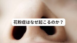 花粉症はなぜ起こるのか？花粉が飛ぶことで、くしゃみや鼻水が止まらない、目がかゆいなどのアレルギー症状が花粉症です。
現在は6人に1人の割合で花粉症の症状を持っているといわれるほど一般的な不調になります。

この花粉症は悪化するとアレルギー性鼻炎や蕁麻疹、重症であればアナフィラキシーショックなどがある注意すべきものです。

花粉の抗原が体内に侵入すると、体内の異物を排除してくれるリンパ球が抗原を見つけ抗体を出し、退治しようとする生理的な免疫反応が起こります。
この抗原と抗体がくっつく反応で、体内で中和されたり、マクロファージといわれる異物を食べてくれる細胞で分解されたりします。

ここまでの反応なら鼻水やくしゃみなどの不調が表面化されません。

抗体と抗原がくっついて肥満細胞に付着すると、肥満細胞が活性化シグナルを出し、ヒスタミンなどの活性物質を放出します。
こうなると炎症反応が起こり、鼻水やくしゃみ、充血などが起こります。

花粉症になる人、ならない人の違いは免疫学的には抗体の量(免疫反応の強さ)だといわれています。

花粉症になる人は、花粉を取り込んでしまうことで、抗体がたくさん作られてしまい、必要以上に炎症反応を起こしてしまうのです。