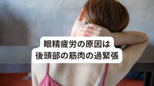 眼精疲労の原因は後頭部の筋肉の過緊張眼精疲労の原因には、目の使い過ぎによる毛様体筋(目の筋肉)と思われがちですが、実際にはこの毛様体筋の疲労だけが問題ではありません。
一番の問題となるのは、眼精疲労を起こしやすい毛様体筋の疲労を促すために送るべき血流が不足していることが問題です。

血流が不足すると疲労した毛様体筋の回復が行われないため、どんどん目に対する疲労は溜まっていきます。
「目薬を使用しても疲れが取れない、目を温めても変化がない」という状態になるのは、この根本的な原因である「血流不足」が完治されていないからです。

この目に対する血流を調節しているのが「後頭部の筋肉」です。
目はこの後頭部と深い関係があり、後頭部の筋肉が緊張すると自律神経の交感神経と副交感神経のバランスが崩れて目の血流が滞りやすくなります。

眼精疲労でお悩みの方の多くが首や肩にこりを感じたり、痛みを感じるのは根本的な原因である「後頭部の筋緊張」が関係しているからです。