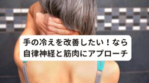 手の冷えを改善したい！なら自律神経と筋肉にアプローチ手の冷えを根本的に改善するには生活習慣と自律神経の乱れを正常に戻すことです。
本来の正しい働きに自律神経を戻すためにはして自律神経を乱れさせている身体の筋肉の緊張をとり、自律神経を統括している脳の血流を増やすことが大切です。

その正しい自律神経の働きに戻ると冷え性だけでなく、頭痛、慢性疲労、睡眠障害など、その他もろもろの不調も合わせて完治されます。
この手の冷えが改善しにくい自律神経失調症の原因は悪い姿勢で長期間過ごすことによる筋肉の過緊張が正しい状態に戻らなくなってしまったこともあります。

そのため、自律神経を正常に戻すように働きかけるためには緊張している筋肉へもアプローチすることも重要です。