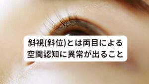 斜視(斜位)とは両目による空間認知に異常が出ること眼には、近視や乱視といった症状の他に斜視や斜位という症状があります。

人間の眼は片方の眼だけでも当然見ることはできますが、物を立体的に捉えるためには両眼を上手に使って見る必要があります。
この立体的に捉えることができる理由に両目の位置は違うという特徴があり、当然異なる角度から物が見えている状態でもあります。

その左右の差を視差(しさ)といいますが、その視差は脳で情報処理されて、立体感や距離感を把握しています。
一般的にどちらか片方の眼で左右のずれを捉えて、もう片方で奥行のずれを捉えます。

この視差による空間認知を両眼視機能といいます。

この両眼視機能は幼いうちに決まるものとされています。
そして、この機能に影響を及ぼすものが、斜視(斜位)なのです。