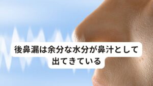 後鼻漏は余分な水分が鼻汁として出てきている後鼻漏を感じる方で副鼻腔炎(蓄膿症)と診断された方の共通点は「体内の血液や水分の流れが悪くなっている」ということです。
それにより本来なら便や尿で排出すべき不要な水分が身体に溜まっていることで、その余分な水分が鼻汁としてとして出てきてしまっています。

このような体質の方は身体に熱がこもりやすいため、炎症も起こりやすいと東洋医学では考えます。