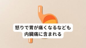 怒りで胃が痛くなるなども内臓痛に含まれる色々な場面で起こる感情表現は人間にとって内側から起こる自然なことです。
しかし、東洋医学では過度な感情は内臓を傷めてしまい病気を起こす原因と考えます。

この身体の内側から起こる不調を東洋医学では“内因ないいん”と呼び、治療をする対象と考えます。
イライラして胃が痛む、考え過ぎて夜眠れなくなる、不安で動悸が出てくるなどの不調は全てこの内因による不調になります。