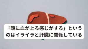 「頭に血が上る感じがする」というのはイライラと肝臓に関係しているイライラしたり、怒りすぎると頭痛が起きたりめまいがしたりすることはないでしょうか。
これらは怒りという感情が肝臓を傷めている状態になります。

よく言われている「頭に血が上る」というのも東洋医学の考えに基づいています。
他の怒りによる肝の不調は以下の通りになります。

【怒りでの不調】
・生理不順
・眼精疲労
・けいれん
・手足のしびれ
・めまい
・筋のしびれ
・けいれん
・爪の変形
・目の充血
・目のかすみ
・ドライアイ
・めまい
・下痢
・生理痛
・頭痛
・情緒不安
・両脇の張り感