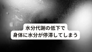 水分代謝の低下で身体に水分が停滞してしまう水分代謝の低下による起こる体液の停滞(痰湿)は、身体の各部位によって様々なトラブル招きます。
最も溜まりやすいのが胃腸と考えられています。

その胃腸に痰湿が溜まると

・痰が絡みやすい
・胃がチャプチャプする
・お腹が張る
・吐き気がする
・腸がグルグル鳴る(腹鳴)

などの症状が起こります。

東洋医学の経絡(エネルギーの流れ)に停滞すると痛みやしびれなどの症状を引き起こし、長期化するとこぶ状のしこりができることもあります。
めまいにも関係が深く、特に回転性のめまいは体の余分な水をさばくことでスッキリ完治することもあります。