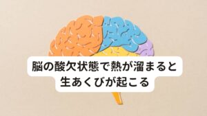 脳の酸欠状態で熱が溜まると生あくびが起こるもともと眠気によって起こるあくびは脳が酸欠になり熱が溜まったときにあくびによってその熱を冷ますと考えられています。
あくびによって酸素を取り込み、それを利用して熱を冷ますという生理反応です。

実は生あくびも酸素を取り込むために起こるのですが、それだけでなく脳の熱を放熱させるために血管が拡張が起こるとされています。
この血管の拡張が過剰に起きてしまうと片頭痛の引き金になってしまうと考えられています。

生あくびによる急激な血管拡張が起こる
↓
血管から炎症反応を起こす物質が漏出する
↓
周辺の神経を刺激して炎症を起こす
↓
片頭痛が起こる

というのが生あくびによって起こる片頭痛の流れになります。