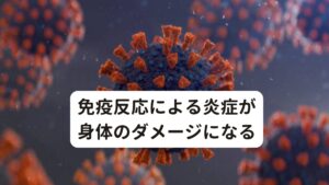 免疫反応による炎症が身体のダメージになるどのようなメカニズムでワクチン後遺症が残るのか鍼灸治療の領域から解説していきます。

まず身体に免疫力をつけるために弱毒化したコロナウイルスを体内に入れます。
これにより、体内でウイルスと抗体(免疫機能)に戦い(炎症反応)が起き、結果的にウイルスを死滅させます。

この免疫反応が起こることで以降のコロナウイルスへの抵抗力が生理反応として身体に記憶され免疫を獲得できます。
この免疫を獲得する際に起こる炎症反応ではウイルスを排除するためにエネルギーを使って発熱を起こします。


この免疫力を獲得するための炎症反応が身体自身へのダメージとなり、回復できずにそのままになっているのがコロナワクチン後遺症と考えられます。

この炎症反応によって傷ついた身体では身体の機能も上手く働かないため不調が起こってしまいます。
この機能の失調は生活習慣における心身の疲労も回復できないために時間の経過とともに強い症状を起こすこともあります。