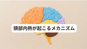 頭部内うつ熱が起こるメカニズム脳は体の状況を五感（視覚・聴覚・平衡覚・味覚・嗅覚）で感知し、その感知した情報を元に自律神経やホルモンを介して調節しています。
この入ってくる情報と、出力の仕組みがうまく循環していると、心身は正常に機能した状態です。

しかし現代社会の生活では、入ってくる入力情報(スマホやパソコンなど)が過剰になると、入力と出力のバランスが崩れてしまうことがあります。
高齢者の場合は、この機能のアンバランスが起きていると外気の温度を感知する能力の低下となり熱中症になりやすい一因と考えられています。

このように脳の入力と出力のバランスが崩れると、脳は疲弊し「頭部内うつ熱」が生じます。
脳は身体的不調(頭痛やめまいなど)だけでなく、思考や感情という目に見えない情緒や心理面にも影響を与えるため、うつ症状や気分の落ち込みなども引き起こします。

内臓や器官の機能異常による身体的な失調、脳の機能異常による情緒や思考の失調などは「頭部内うつ熱」と因果関係があることが最近わかってきています。