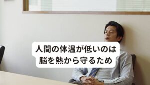 人間の体温が低いのは脳を熱から守るため人間の体温はなぜ36.5℃に保持されているのでしょうか。
その理由に脳を守るためがあります。

人間以外の動物の犬、猫、猿などの体温は37～40℃と高い体温です。
この人間と動物の体温の違いは脳の違いともいってよいでしょう。

人間は他の動物に比べて脳を異常なほど発達させ、言語や高度な文明を生み出してきました。
人にとって脳はいわばコンピューターで情報処理をする所です。

そのためコンピューターである脳は使用すればそれだけ熱を持ちやすく放熱できなければオーバーヒートしてしまいます。
体温が36.5℃を保持しているのはこういった理由で他の動物に比べると低めの温度設定しているのです。

※体質によっては頭頂部が冷たくなる「頭冷(とうれい)」という状態が起こることもあります。
　詳細な情報は下記のリンクからご覧ください。