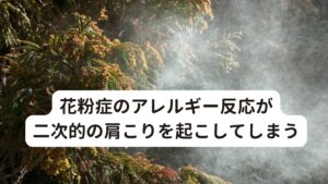 花粉症のアレルギー反応が二次的の肩こりを起こしてしまう花粉症で首や肩がこる原因として主に次の3つが挙げられます。

・くしゃみや咳のときに首や肩に力が入る。
・鼻をすすったり、鼻をかむことを繰り返すことで首の筋肉が緊張する。
・花粉のアレルギー反応によって自律神経が乱れて首や肩の筋肉が緊張してしまう。

これらをみてわかるように、花粉症のアレルギー症状であるくしゃみ、咳、鼻汁、鼻づまりが肩こりに大きく関わっています。
さらにこのような花粉症が原因で起こる肩こりを「季節性アレルギーこり」ということもあります。

これだけではあまりピンとこないと思うので、もう少し詳しく解説していきます。