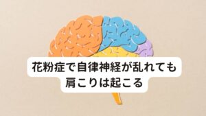 花粉症で自律神経が乱れても肩こりは起こる自律神経は交感神経と副交感神経に分かれており、自律神経の乱れとは、この交感神経と副交感神経のバランスが崩れることをいいます。
では、一見関係なさそうに思えるこの自律神経と肩こりはどう関係しているのでしょうか。

主に肩こりの原因になっているのは、自律神経の中でも交感神経です。
この交感神経が過度のストレスによって優位になると、毛細血管が収縮して筋肉を緊張させる働きがあります。

花粉症のシーズンや季節の変わり目は寒暖差が激しくただでさえ自律神経が乱れやすく交感神経の興奮が起きやすい時期です。
さらに咳、くしゃみ、鼻をかむなど全身の筋肉が緊張する生理反応や動作も交感神経を興奮させる動作であるため首こりや肩こりが起こりやすくさせる要因となります。

※花粉症と自律神経の関係については下記のリンクボタンから「花粉症は自律神経を整えることで完治する」をご覧ください。