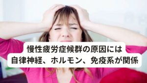 慢性疲労症候群の原因には自律神経、ホルモン、免疫系が関係通常の疲労は、休息を取ることで症状が改善します。
しかし、十分な休息をとっても症状が改善されず、それどころか日常生活に支障をきたすほどの疲労感、睡眠障害が長期間に渡って続く場合は「慢性疲労症候群」の可能性があります。

慢性疲労症候群の診断基準には「労作後の神経免疫系の極度の消耗(何か作業したときに不調を感じて動けない状態)」というものがあります。

現時点ではっきりとした原因は解明されていませんが、この神経や免疫系統の極端な疲労が起きてしまう原因として有力な仮説には、自律神経系、ホルモン系、免疫系の３つのアンバランスが考えられます。