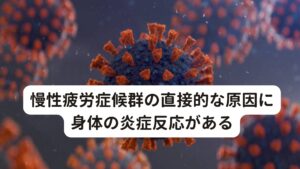 慢性疲労症候群の直接的な原因に身体の炎症反応があるこの3つのバランスが崩れてしまう流れは以下のように考えられます。

1.身体的ストレスや精神的ストレス、風邪等の病気にかかったことをきっかけにに自律神経系、ホルモン系の働きに異常が起こる
↓
2.自律神経やホルモンに異常が起こると免疫系の活動にも影響が起こる
↓
3.免疫系が低下してしまい、体内でウイルスが活性化する
↓
4.ウイルスの活動を抑えようと体内では免疫物質が過剰分泌される
↓
5.その過剰な免疫物質によって脳が炎症を起こし、強い疲労感や風邪様症状が現れる

というのが考えられます。