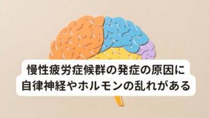 慢性疲労症候群の発症の原因に自律神経やホルモンの乱れがある慢性疲労症候群の原因は明らかになっておらず不明ですが、研究によって少しずつ明らかになってきました。
健康的な身体は自律神経系、ホルモン系、免疫系の3つがバランスを保って働いています。

しかし、慢性疲労症候群は心身のストレスをきっかけに自律神経系やホルモン系の機能が乱れることで免疫の働きも低下し様々な不調が出現します。