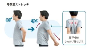 胸こりで息苦しいときに役立つストレッチ肩もこるし息苦しくてつらい、というときはこのようなストレッチをして対処してみてはいかがでしょうか。
以下のストレッチを行うと硬くなってしまった肺周辺の筋肉に柔軟性がついて胸こり完治と息苦しさ完治に期待できます。

[吸気筋ストレッチ]→吸う筋肉へのアプローチ
①肩幅に足を広げ、膝は軽く曲げて立ち下腹部を意識する。
胸の前で両手を軽く組む(肘は曲げたまま)。
②鼻からゆっくり息を吸いながら、組んでいる手を前へ伸ばす。
このとき、背中は丸めるように伸ばしていく(肩甲骨の間の筋肉を伸ばすイメージ)
③息を吸いきったら、次はゆっくり口から息を吐きつつ、胸に向かって手を引き寄せる。

[呼気筋ストレッチ]→吐く筋肉へのアプローチ
①両手を後ろに回して腰のあたりで軽く組む(組めない場合は、指先を合わせる程度でも良い)
②顎を前に突き出すように上げた状態にしゆっくり鼻から息を吸いながら腕を伸ばして斜め後ろに持ち上げる。
このとき、みぞおちから両脇腹にかけて筋肉がストレッチされていることを意識する。
③息を吐きながら、手を腰に降ろしていく