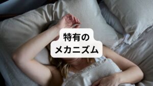 脳が「エストロゲン不足」に過剰反応する
妊娠中にピークだった女性ホルモン（エストロゲン）は、出産直後にほぼゼロに近い状態まで急落します。この急激な変化に対し、脳の「視床下部」は「ホルモンを出せ！」と指令を出し続けます。この過剰な指令が、隣接する自律神経を刺激し、体温調節が効かなくなることでホットフラッシュが発生します。

育児ストレスと睡眠不足による
「自律神経の疲弊」24時間体制の育児、細切れの睡眠、授乳による栄養流出……。これらはすべて自律神経を疲弊させる要因です。自律神経が乱れると、血管の収縮・拡張のコントロールができなくなり、顔ののぼせや異常な発汗を助長してしまいます。