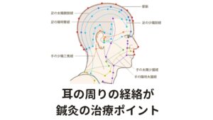 耳の周りの経絡が鍼灸の治療ポイント耳の周りには手の太陽小腸経、手の少陽三焦経、足の少陽胆経といった経絡（エネルギー線）が通っています。
耳鳴りの多くの場合がこの3つの経絡の異常によって引き起こされますが、これらの経絡は耳の周りを通る以外にも首の周りも通過しています。

そのため首のこりは経絡の流れに悪影響を与えますので、経絡がうまく巡らなくなると耳鳴り症状が起こると東洋医学では考えられています。
この理論からも首こりと耳鳴りには関係性があるといえるでしょう。