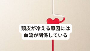 頭皮が冷える原因には血流が関係している頭皮が冷えるのは手足の冷えと同様に、血液が十分に頭部に運ばれていないことが大きな原因になります。
とくに頭皮は、皮膚が薄く毛細血管が多く集まっている部分であるため、身体が冷えて血管が収縮すると血流が悪化しやすい傾向にあります。
こういった血流に関わる頭皮の冷えを引き起こす原因には次の4つの主な要因があげられます。