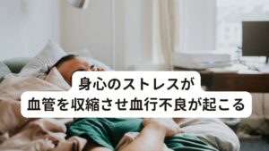 身心のストレスが血管を収縮させ血行不良が起こる現代人は、多忙な仕事などでストレスを抱えている人が多くいます。

身体的ストレス、精神的ストレスは、自律神経である交感神経を過剰に働かせて血管を収縮させてしまいます。
結果として血液の流れが悪くなり身体の冷えを引き起こしてしまいます。

頭皮にも自律神経に調節されている細い血管が密集しているため、血管の収縮が頭皮の冷えの大きな要因になってしまいます。