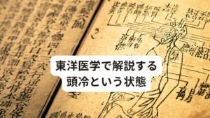 東洋医学で解説する頭冷という状態東洋医学で考えられる頭の冷え(頭皮の冷え)は大きく分けて2つの原因があります。
１つ目は頭部が寒冷刺激にさらされること・2つ目は頭部の温める力が不足した結果冷えが生じることが挙げられます。

今回は東洋医学の専門用語を用いて解説します。

①厥陰中寒（けついんちゅうかん）
外からの寒冷刺激（主に冷気）が体内に侵入してしまう状態。
侵入した寒冷刺激が頭頂部につながる経絡（東洋医学的なエネルギー・栄養分の運搬ルート）へと到達してしまうと頭冷が生じてしまう。

[厥陰中寒の主な症状]
・冷え症状が強い
・顔色が青白い
・四肢の冷えが目立っている
・発症が急激であり頭冷や頭痛は強く起こるが短時間で治まることが多い。

②督脈虚寒（とくみゃくきょかん）
頭冷頭頂部に連なる経絡のトラブルが原因となって起こる（①とは別ルート・督脈というルート）
督脈は全身を温める力やエネルギーを総括する特徴があります。
しかし、慢性疲労や長期的に病気を患うことなどで督脈上のエネルギーが損傷してしまい、温める力が不足して頭頂部の冷えが生じます。


[督脈虚寒の主な症状]
・背中や腰にも冷えが起きている
・頭冷含めて身体を温めることで症状が軽減することが多い
・発症は緩やかであり、症状はさほど強くはないが長く続くことが特徴である。

※体質によっては頭頂部が熱くなる「頭部内うつ熱」という状態が起こることもあります。
　詳細な情報は下記のリンクからご覧ください。