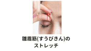 おでこの頭痛に効果的な雛眉筋(すうびきん)のストレッチ①眉毛の上下の皮膚をつまみ、それを上下に引っ張るようにします。
②眉毛の外側、真ん中、内側と三か所に分けて痛気持ちいいぐらいの強さで上下5秒間ずつ引っ張り、それを1セットとします。
③外、中、内の順番は特にありませんが1回3セットを一日に3回くらい行って下さい。