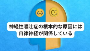 神経性嘔吐症の根本的な原因には自律神経と嘔吐反射が関係神経性嘔吐症の原因ははっきりとしているわけではありません。
しかし、精神的ストレスと自律神経が深く関係しているのではないかと考えられています。

延髄というところにある嘔吐中枢は、自律神経などによって、大脳皮質やのど・心臓・消化管などの各器官とつながっています。
大脳皮質が精神的ストレスを感知すると、その刺激が神経を介して延髄にある嘔吐中枢に伝わります。

それによって、嘔吐反射を刺激し嘔吐や吐き気といった症状が誘発されると考えられています。
また精神的ストレスがかかる状態が続くと、自律神経の乱れを起こしやすくなります。

その自律神経の興奮が嘔吐中枢を刺激することでも、神経性嘔吐症の症状を引き起こすと考えられます。