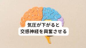 気圧が下がると交感神経を興奮させるそもそもなぜ天気が悪くなると坐骨神経痛が出やすくなるのでしょうか？
先ほども解説したとおり天気悪くなると気圧が下がります。

気圧が下がると自律神経である交感神経が刺激されます。
この交感神経が興奮すると筋肉が緊張しやすい傾向になり、筋肉に痛みや張りを感じやすくなります。

この交感神経の興奮が梨状筋を緊張させて坐骨神経を圧迫し坐骨神経痛を引き起こしてしまいます。