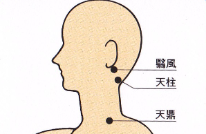 3.天鼎(てんてい)・ツボの位置
のど仏のすぐ下の軟骨(輪状軟骨)と同じ高さで、横首の筋肉(胸鎖乳突筋)の後側のへり。
ツボを軽く押しながら揉む。

・こんな症状に
扁桃腺のはれなどによる痛みと、のどのふさがった感じを取り除きたいときに。