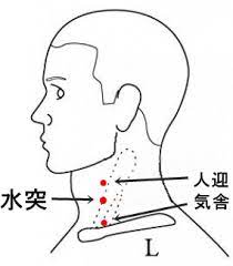 2.水突(すいとつ)・ツボの位置
のど仏のすぐ下の軟骨(輪状軟骨)と同じ高さで、横首の筋肉(胸鎖乳突筋)の前側の縁。
ツボを軽く押しながら揉むのがコツ

・こんな症状に
のどのはれ・痛み・息苦しさ、のどの不調でガラガラ声になってしまった時など。