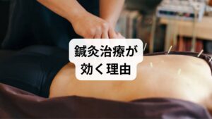 薬を飲んでも、環境を変えても不調が続く場合、自律神経のバランスが「ストレス体質」に固定されている可能性があります。そこで有効なのが鍼灸治療です。

1. 脳の興奮を鎮め、迷走神経を整える
鍼の刺激は、脊髄を通じて脳に伝わり、リラックスの神経である「副交感神経（迷走神経）」の働きを活性化させます。これにより、胃腸の過剰な緊張が解け、スムーズな消化・吸収のリズムを取り戻します。

2. 「気」の滞りを解消する
東洋医学では、ストレスによる吐き気を「肝気犯胃（かんきはんい）」と呼びます。ストレスによって滞ったエネルギー（気）が胃を突き上げている状態です。鍼灸は、この滞りを散らし、エネルギーを本来の方向（下方向）へ流すことで、ムカムカを解消します。

3. 身体の「防御反応」を和らげる
慢性的にストレスを受けている人は、横隔膜や背中の筋肉がガチガチに固まっています。ここを鍼で緩めることで、深い呼吸ができるようになり、脳が「今は安全だ」と認識しやすくなります。