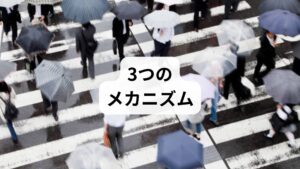 ① 自律神経のスイッチがうまく切り替わらない
人間には気圧の変化を察知する「センサー」が内耳にあります。気圧が急激に変化すると、このセンサーから脳に過剰な情報が伝わり、自律神経(交感神経・副交感神経)のバランスが崩れます。その結果、心拍数や呼吸のリズムが乱れ、息苦しさを感じやすくなります。
② 空気中の酸素がわずかに薄くなる
「低気圧=空気が薄い状態」です。標高の高い山に登った時と同じように、地上でも気圧が下がると肺に取り込まれる酸素の効率がわずかに低下します。健康な人なら気づかないレベルの変化でも、疲労が溜まっている時や更年期などで自律神経が敏感な時期には、顕著な「息苦しさ」として現れます。
③ 体内の「ヒスタミン」増加による影響
気圧が低下する過程で、体内で「ヒスタミン」という物質が増えることがあります。ヒスタミンには血管を拡張させたり気道を収縮させたりする働きがあるため、特に喘息(ぜんそく)の既往がある方などは、気道が狭くなって息苦しさを強く感じることがあります。