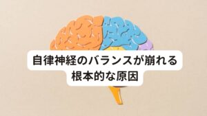 自律神経のバランスが崩れる根本的な原因自律神経のバランスを崩す根本的な原因には
・構造的ストレス
・科学的ストレス
・精神的ストレス
と3つに分けることができます。

この3つのストレスが複合的に絡み合って自律神経のバランスを崩していると考えられます。

またそれぞれが
・構造的ストレス→筋肉や関節の歪み
・科学的ストレス→栄養バランスの乱れ
・精神的なストレス→心の疲れ
という心身への影響を与えていると考えられます。


そのため意識して心身を整えていかないと、知らず知らずのうちに自律神経が乱れてしまうこともあります。
当院では、あなたの乱れた自律神経を安定させるために、この「精神的ストレス」「化学的ストレス」「構造的ストレス」の観点から低気圧による息苦しさの原因を見つけ出して不調の改善を追求します。