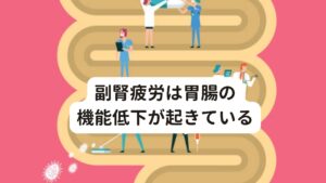 副腎疲労は胃腸の機能低下が起きているそのため副腎疲労の改善するためには、

①腸内環境の改善
②消化機能の向上
③自律神経の正常化
④慢性的なかくれ炎症の解消

などがあります。
解消すべきポイントは人それぞれ体質によって違います。
しかし、これらの問題を改善しなくては、どんなに質の高いサプリメントを摂取したとしても、効果が十分に出ないことがあります。