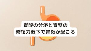 この交感神経の興奮に対してバランスを取ろうとして副交感神経の働きが強まります。
しかし、これによって交感神経が弱まるために、胃酸の分泌を強く促されてしまいます。

このシーソーにように繰り返される自律神経のアンバランスによって胃炎の症状が引き起こされます。
よく起こるストレスによる脇腹の痛みには胃炎があります。