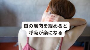 首の筋肉を緩めると呼吸が楽になる首にある斜角筋や胸鎖乳突筋は、呼吸の補助筋として働いています。
そのためこれらの筋肉が硬くなると、浅い呼吸で頻回になるため交感神経が興奮し不安を感じやすくなります。

鍼灸施術などにより首の筋肉が緩むと自然と深い呼吸ができるようになるため、結果として副交感神経が高まりリラックスできるようになります。
このように呼吸を整える事は自律神経のバランスを整えることに繋がり非常に重要なことと考えます。

パニック障害の症状の改善するためには、まず最初に首の筋肉の緊張を緩めて乱れた自律神経を整えることが重要です。

また首のこりはめまいを引き起こす可能性があります。
パニック障害でめまいが起こる人は予防のためにも鍼灸で首の筋肉を緩めることが重要です。