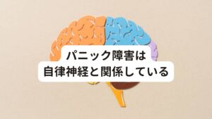 パニック障害は自律神経と関係している当院が考えるパニック障害の原因は、自律神経の機能の悪化が原因と考えています。

自律神経は交感神経と副交感神経の2つによって血管の拡張や収縮、各器官などを調節しています。
この自律神経の働きが悪くなると、内臓の働き、筋肉の歪みなど、身体全体のバランスが崩れて、パニック障害を引き起こす原因になると考えられています。