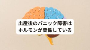 出産後のパニック障害はホルモンが関係している妊娠、出産、産後は体内のホルモンバランスが大きく変化します。
このホルモンのアンバランスがきっかけでパニック障害が起こるといわれています。

このホルモンの中でもセロトニンには自律神経を整える作用もありますが、産後いつまでもうつ症状がズルズルと続いてる方はこのセロトニン不足が考えらえます。
また産後のパニック障害もこのセロトニンの変動が正常に戻らずコントロールを失っている結果発生しているといわれています。

他には出産を境にわずか数日の間に生活環境がガラッと変化するストレスもホルモンバランスや自律神経に影響を与えています。
そのためパニック障害の回復の為にはリラックスできる環境を作ることも重要です。

※またパニック障害での薬の服用にお悩みの方への対処法を解説しています。
　詳細な情報は下記のリンクからご覧ください。