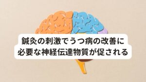 鍼灸の刺激でうつ病の改善に必要な神経伝達物質が促される鍼灸施術がうつ病に対してどのように働くか、そのメカニズムはまだ完全には解明されていません。
しかし、いくつか提案されているメカニズムがエビデンスとして存在しています。

その中で一番有力なのが鍼灸の刺激が脳内の神経伝達物質の調整に関与しているということです。
うつ病が起こる要因にはセロトニンやノルアドレナリンなどの神経伝達物質の異常が関与していることが知られています。

鍼灸の刺激はこれらの神経伝達物質の調整を促す可能性があると考えられてします。