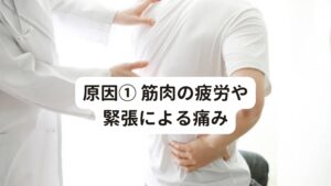 原因① 筋肉の疲労や緊張による痛みまずは背中の痛みが起こる原因から解説します。

日常生活で筋肉に疲労が溜まったり強い収縮が続くと背中に疲労が溜まります。
筋肉にこの疲労が蓄積されると筋肉が硬くなり、血流が悪くなって痛みを引き起こします。

血液の循環がうまく行われないと酸素や栄養分が十分に行き渡らなくなり、疲れや痛みが起こりやすくなります。
この筋肉の疲労や緊張は、運動不足や長時間の同じ姿勢などが原因として考えられます。