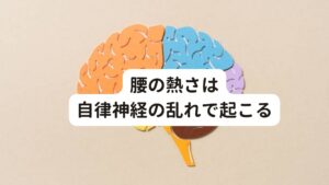 腰の熱さは自律神経の乱れで起こる自律神経は内臓の働きや血流、体温など全身に器官を調整している働きがあります。

その中に血管の収縮や拡張をさせて血流を調整し体温を調節する働きが自律神経にはあります。
また自律神経は周期的なリズムで交感神経と副交感神経を調整し時間帯に応じて変化させています。

このリズムが崩れてしまうと体温調節の不具合が時間帯によって起こってしまいます。

今回の「腰が熱い」という症状はこのような自律神経の周期的な働きと深く関わっています。※1