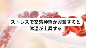 ストレスで交感神経が興奮すると体温が上昇する本来、人間は昼夜のリズムに合わせて自律神経の交感神経と副交感神経を調節して体温を変化させています。

しかし、日中に身体にストレス等が強くかかってしまうと自律神経の働きやリズムが乱れてしまい体温も乱れてしまいます。
とくに交感神経の興奮が激しくなり、日中や夜間に関係なく体温が上がってしまいます。

とくに「就寝中における腰が熱くなる」という症状がある方はこの交感神経の興奮による体温の上昇が深く関係しているといわれています。
この体温の上昇によって起きる身体の熱さを感じやすい部位に腰があります。※2