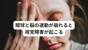 眼球と脳の連動が崩れると視覚障害が起こるこのようなことから、レンズとしての眼球の機能に異常がなかったとしても心理的な要因(ストレスなど)だけで、様々な目の不調が生じることがあります。
視力が低下している、視野が狭くなる、目の痛み、まぶしく感じる、かすむ、ぼやける、ちかちかする、瞼がぴくぴくする

ストレスを感じた時にこのような目の不調を感じた場合は眼球と脳の連動に不具合が生じている可能性があります。

なぜ、このようなことが生じるのでしょうか？
これを理解するためにはまず「見えるとはどういうことなのか？どのように見えているのか？」がポイントです。