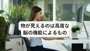 物が見えるのは高度な脳の機能によるものこのように「物が見える」のは、主に脳の前頭前野と高次視覚野の相互作用によります。
そこにさらに、脳のその他の情報も修飾され「見える」ということになります。

すなわち、あなたが「見える」のは眼球（レンズ）ではなく、脳全体で見ているということになります。