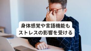 身体感覚や言語機能もストレスの影響を受けるまた側頭葉もストレスの影響を強く受ける箇所になります。
この側頭葉は行動の知覚の機能を司っています。

その他には頭頂葉は身体感覚や言語機能があり、どちらもストレスの影響を受けやすい傾向にあります。

このように持続された強いストレスを受けることにより視覚だけでなく関連の深い脳の機能が低下します。
これにより、「見える」という機能にも不具合が生じてしまい、眼科や脳神経で異常がないといわれたにも関わらず、「見る」ということに関して様々な症状が出現してしまいます。