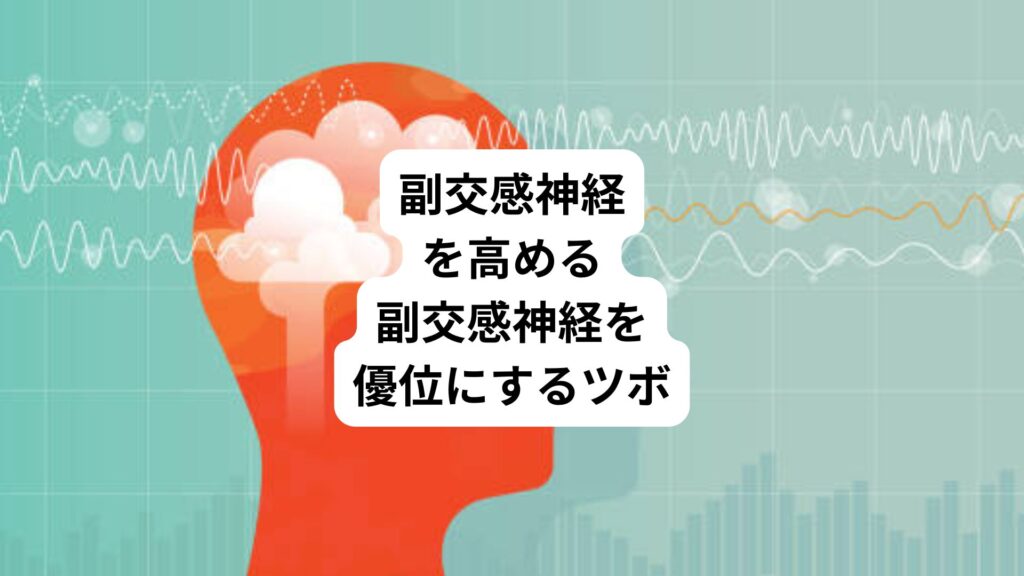 副交感神経を高める｜副交感神経を優位にするツボ